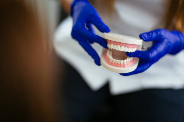 Best Dental Fillings (Composite and Amalgam)  in Herald Harbor, MD